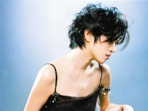 拍卖梅艳芳内衣是粉丝捧起的商家营销