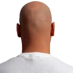 光头君&高定家居设计师头像