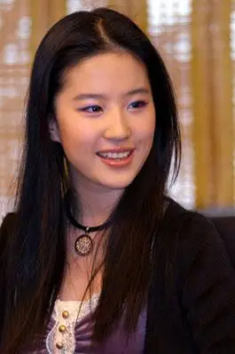 张纪中:刘亦菲在《神雕侠侣》表现100分(组图)