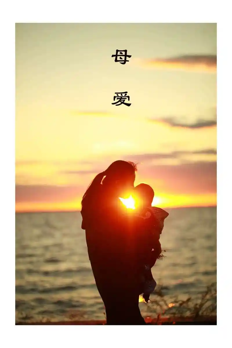 母爱