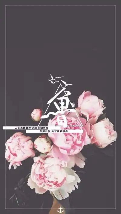 手机壁纸姓氏壁纸,我姓鲁