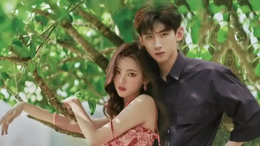 曝白敬亭恋上二字女星,杨超越恋上二字顶流,肖战金晨"躺枪"