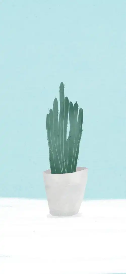 iphonex壁纸.ipad壁纸