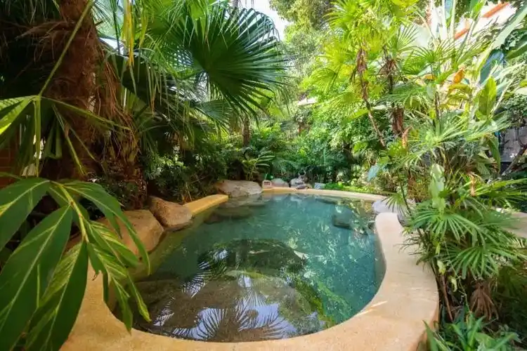 有料盲盒来啦!一方泡池,寒冬中寻找温暖|今夜有料联盟