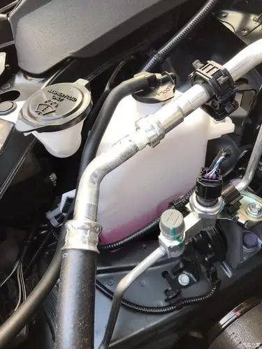 今天打开发动机盖看看,发现冷却液很少