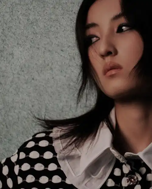 张子枫v中文版开季