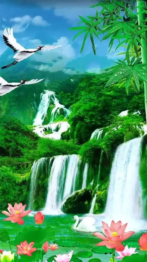 绝美人间仙境:荷花,仙鹤,瀑布!给您带去如意富贵,健康长寿!