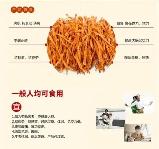 虫草花的功效与作用你知道吗图