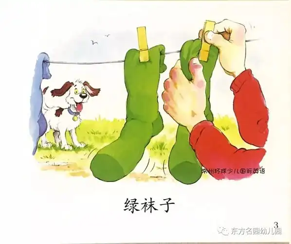 阅读漂流小班绘本课袜子