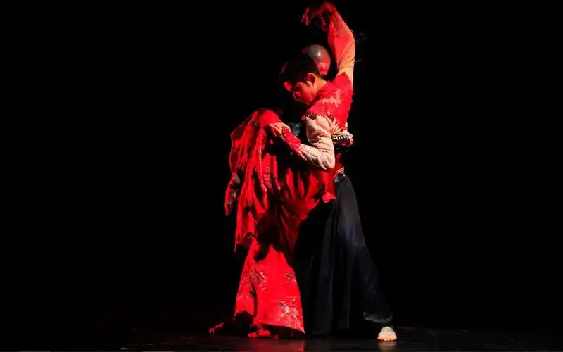 十面埋伏胡沈员杨丽萍舞剧十面埋伏虞姬相关之前没见过的视频整合