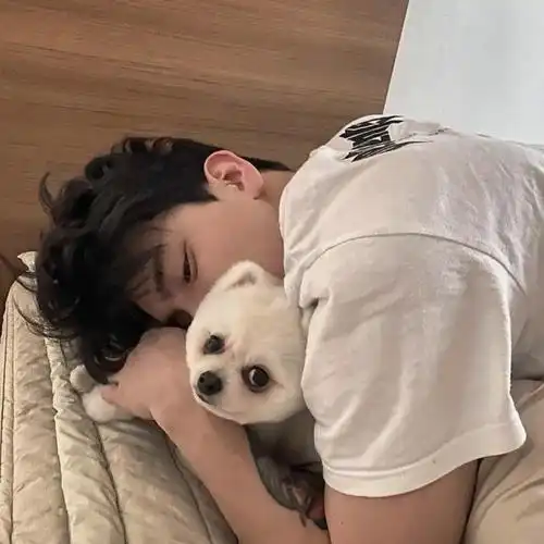 男生头像|帅气的专招桃花