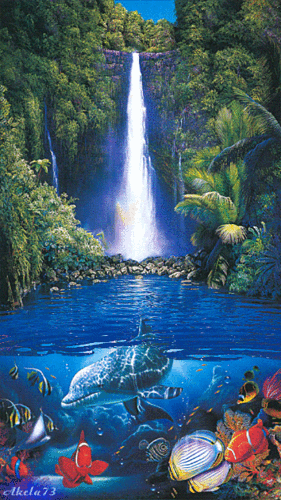 下载waterfall and dolphinsmotorola e398屏保 - 2581373 | mobile9