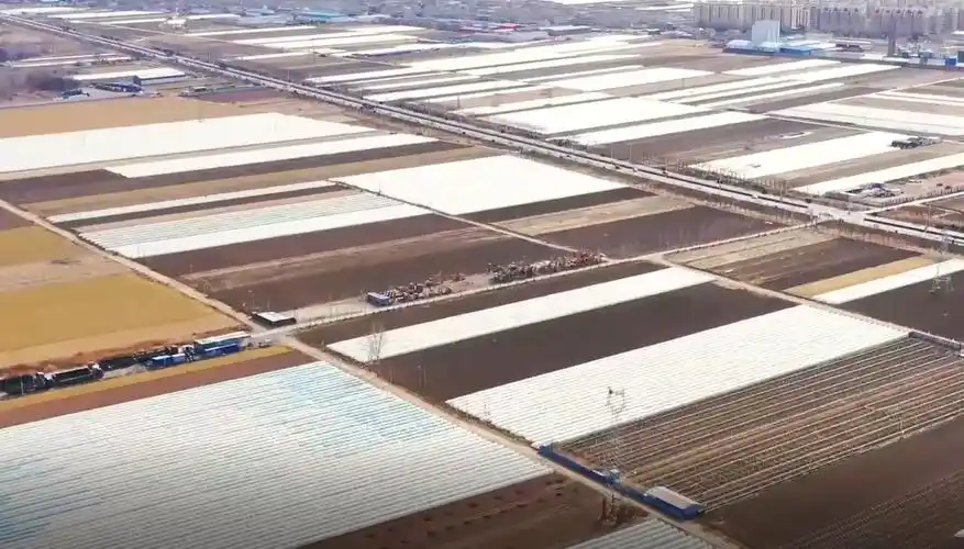 河北玉田春耕时节薯地忙