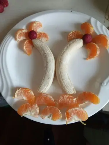 第二小学五年三班张哲同学制作的水果拼图美篇