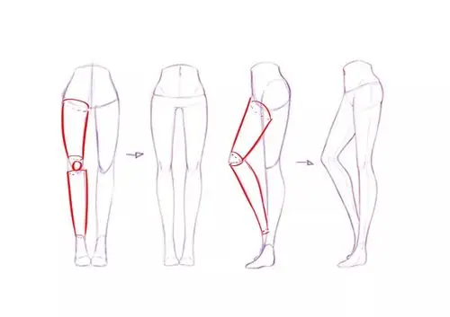 绘画教程腿部画法之肌肉的认识