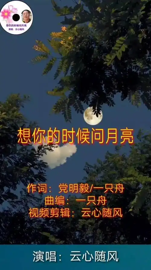 想你的时候问月亮