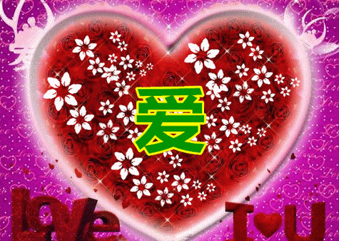 500_357gif 动态图 动图