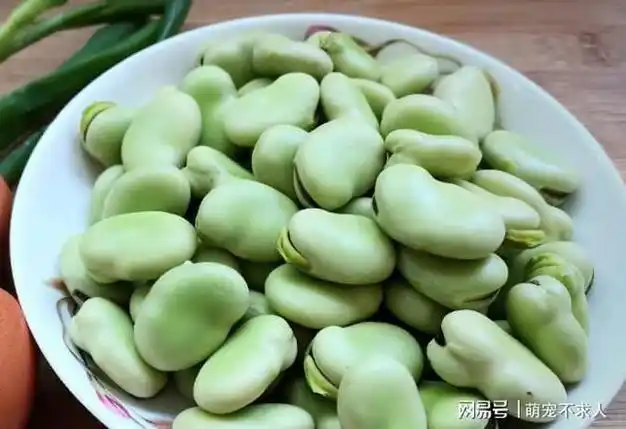 不建议老人多吃蚕豆和大头菜医生反复提醒很多人还不当回事