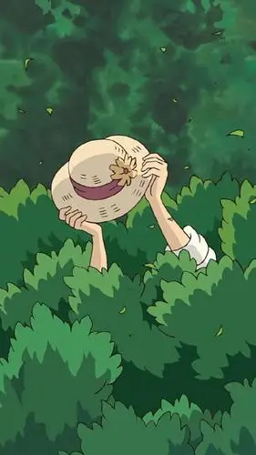 抹茶绿·清新·绿色壁纸:想给你整片森林,让你做森林里的精灵