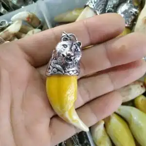 文玩收藏高仿熊牙虎牙镶嵌藏银熊头吊坠兽牙礼品男女款项链配饰