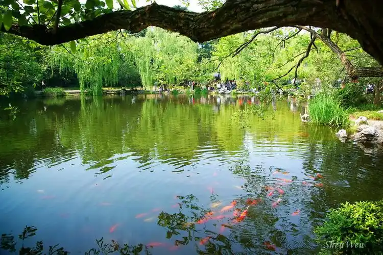 y-杭州西湖花港观鱼【16】 - ppt园地 - 永平的博客