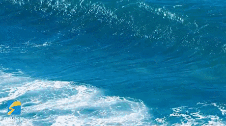 460_257gif 动态图 动图