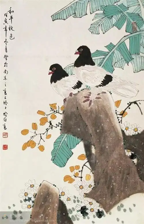 名家花鸟百图鸽子4