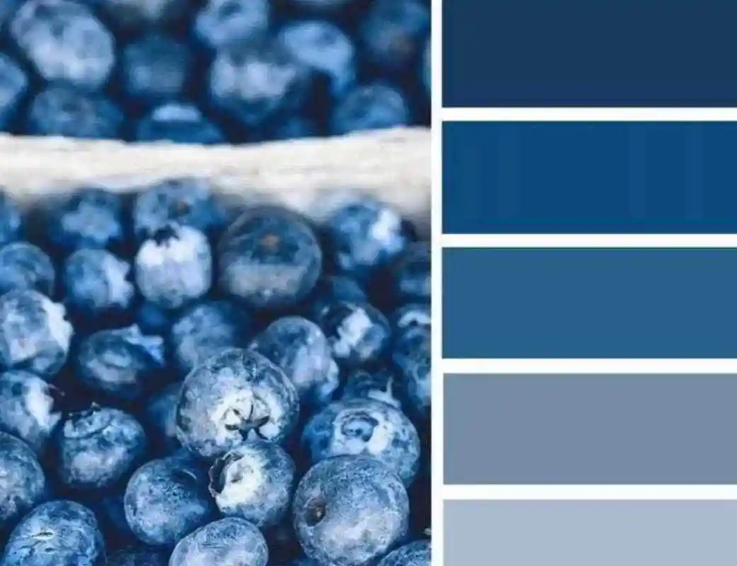 暗调的深蓝莓色,[酸] 给人营养价值很高的感受,[右哼哼] 同时又是很