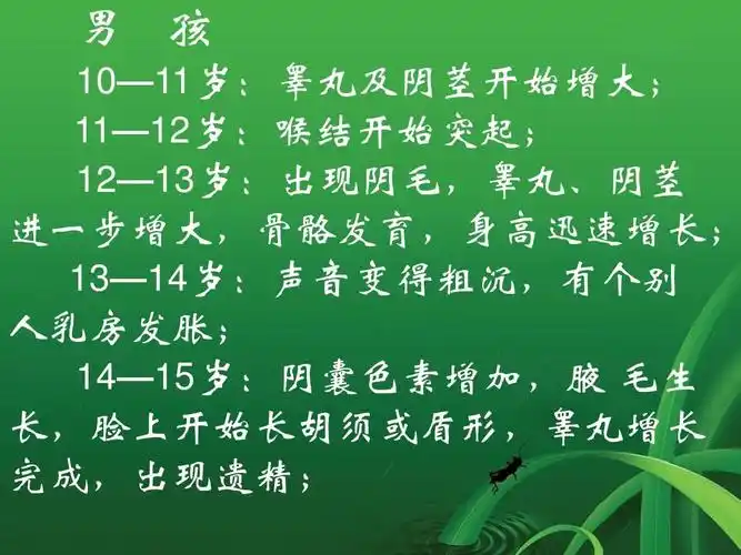 11—12岁:喉结开始突起; 12—13岁:出现阴毛,睾丸,阴茎 进一步源篌