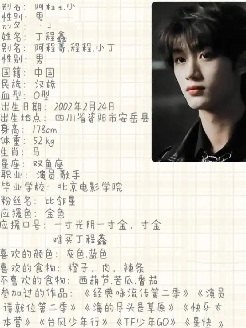 丁程鑫个人资料