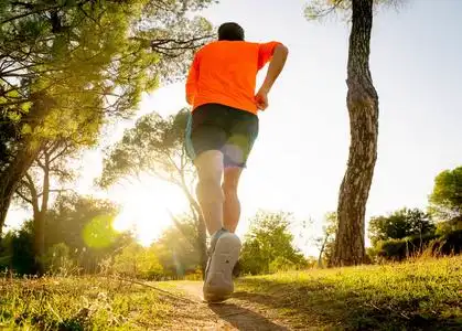 适合强壮的身体训练,在美丽的夏季日落,在绿色公园跑步和健身,健康的