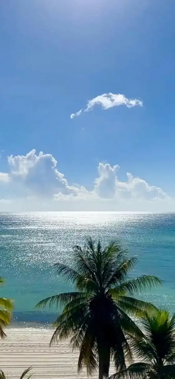 面朝大海 放风一夏 锁屏壁纸又增加啦!