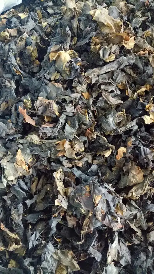 巴戟,威灵仙,昆布,海藻_帖子_oppo手机官方社区