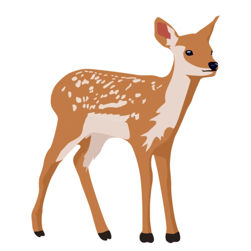可爱动物梅花鹿卡通手绘高清矢量