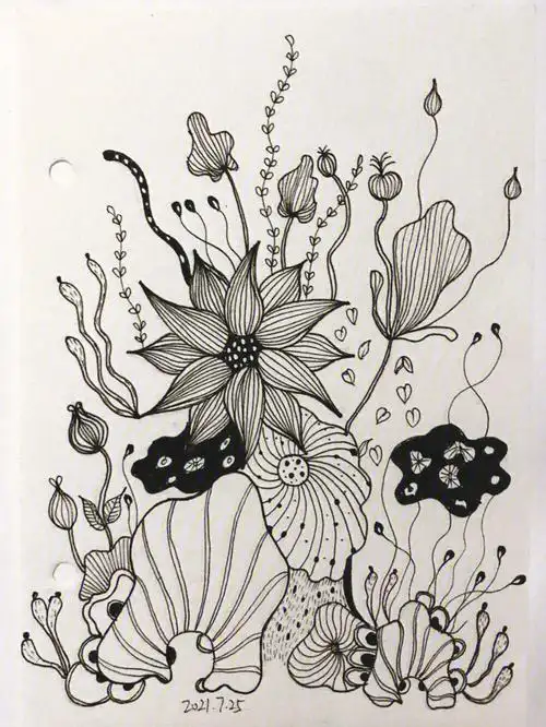 控笔练习 57day线描/黑白装饰画(内含步骤)