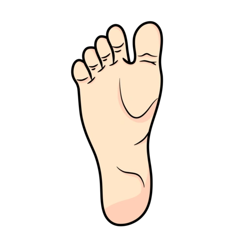 【养生宝典】脚趾做做"石头剪刀布" 经络通畅气血足