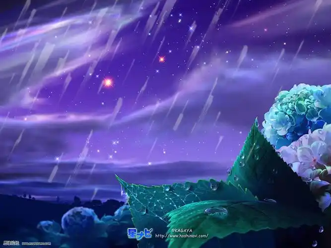 求一张紫色的天空,流星划过夜空的壁纸~梦幻点的,最好不要人物