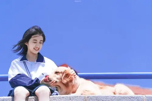 宠爱│张子枫×吴磊