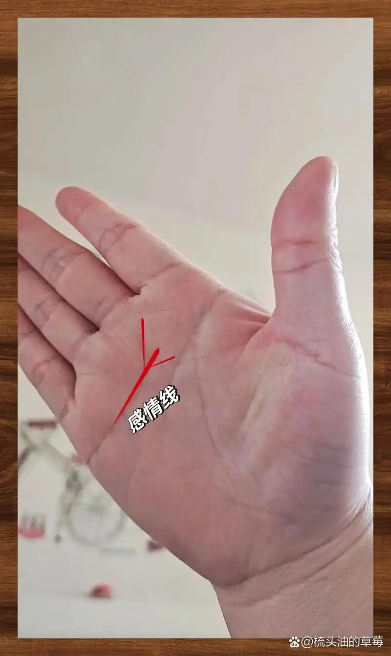 95  11566 感情线笔直无断裂