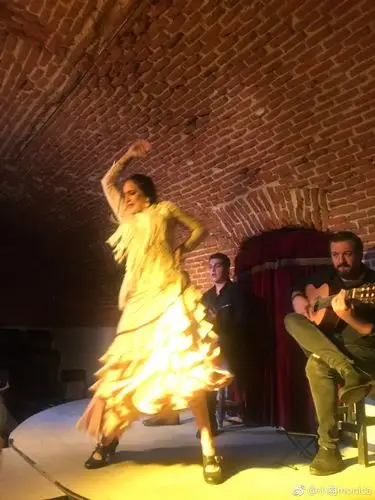 西班牙之魂烈焰弗拉明戈