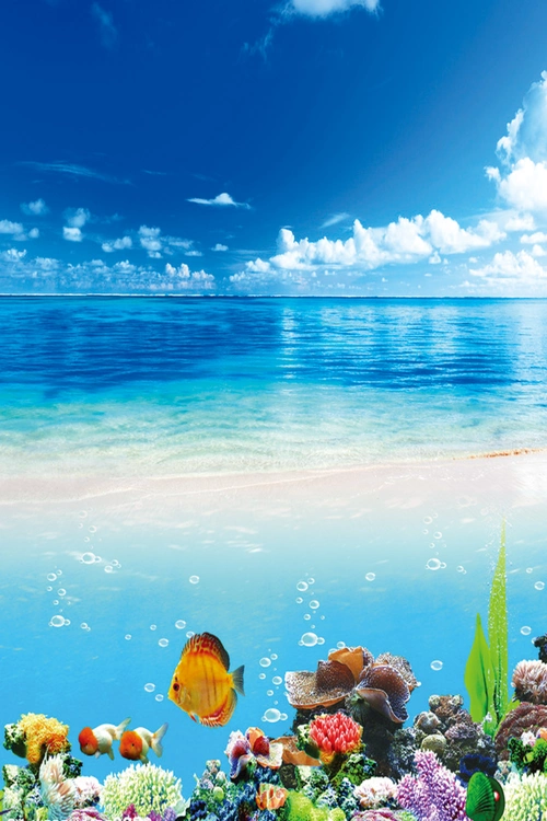 海鲜价目单背景素材