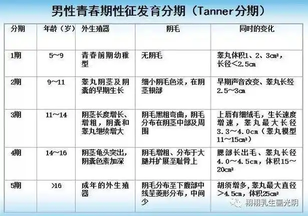5岁阴毛:12岁初潮:12.