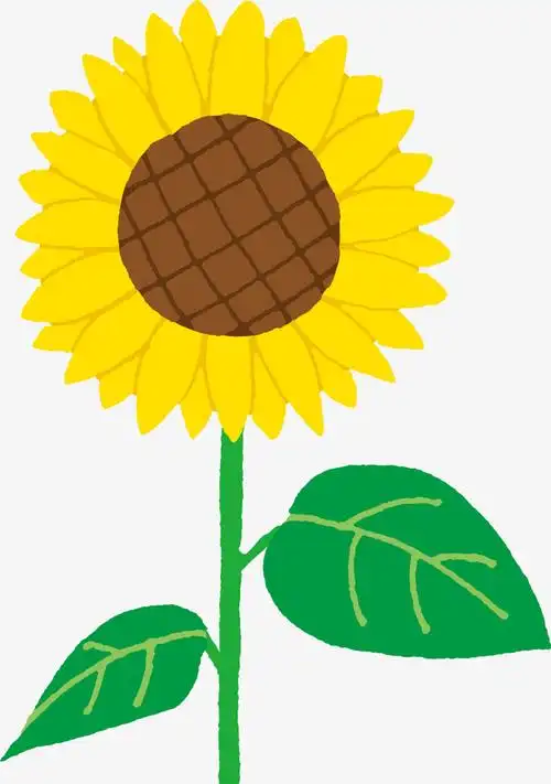 黄色春季卡通向日葵