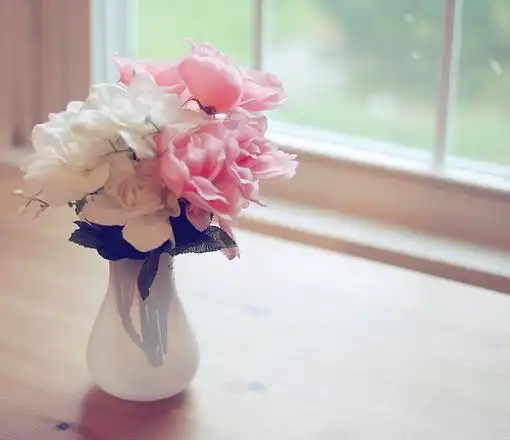 美好的鲜花唯美意境图片