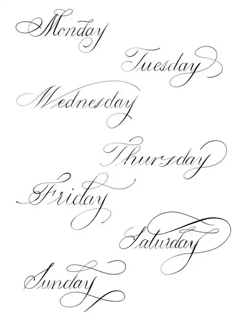 这周都没画画写字解压#手写花体英文  #英文花体字  #英文书法