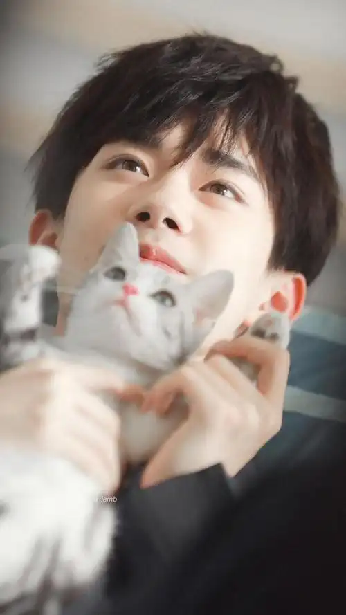 易烊千玺温暖笑容高清壁纸