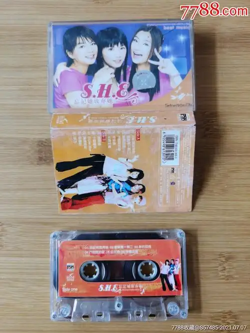 she,忘记她放弃她_磁带/卡带_金鸡报晓【7788收藏__收藏热线】