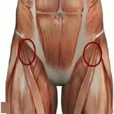 腹股沟(腹部和大腿连接之处)是人身体的中点,是上下身的体液的流动