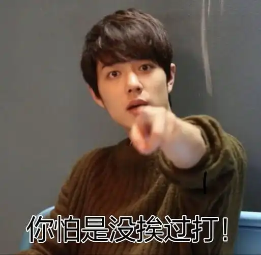 博君一肖 表情包