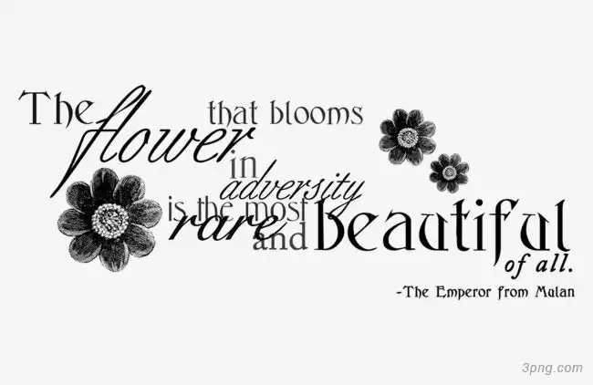 儿童摄影照片杂志艺术字png素材透明免抠图片-艺术字集